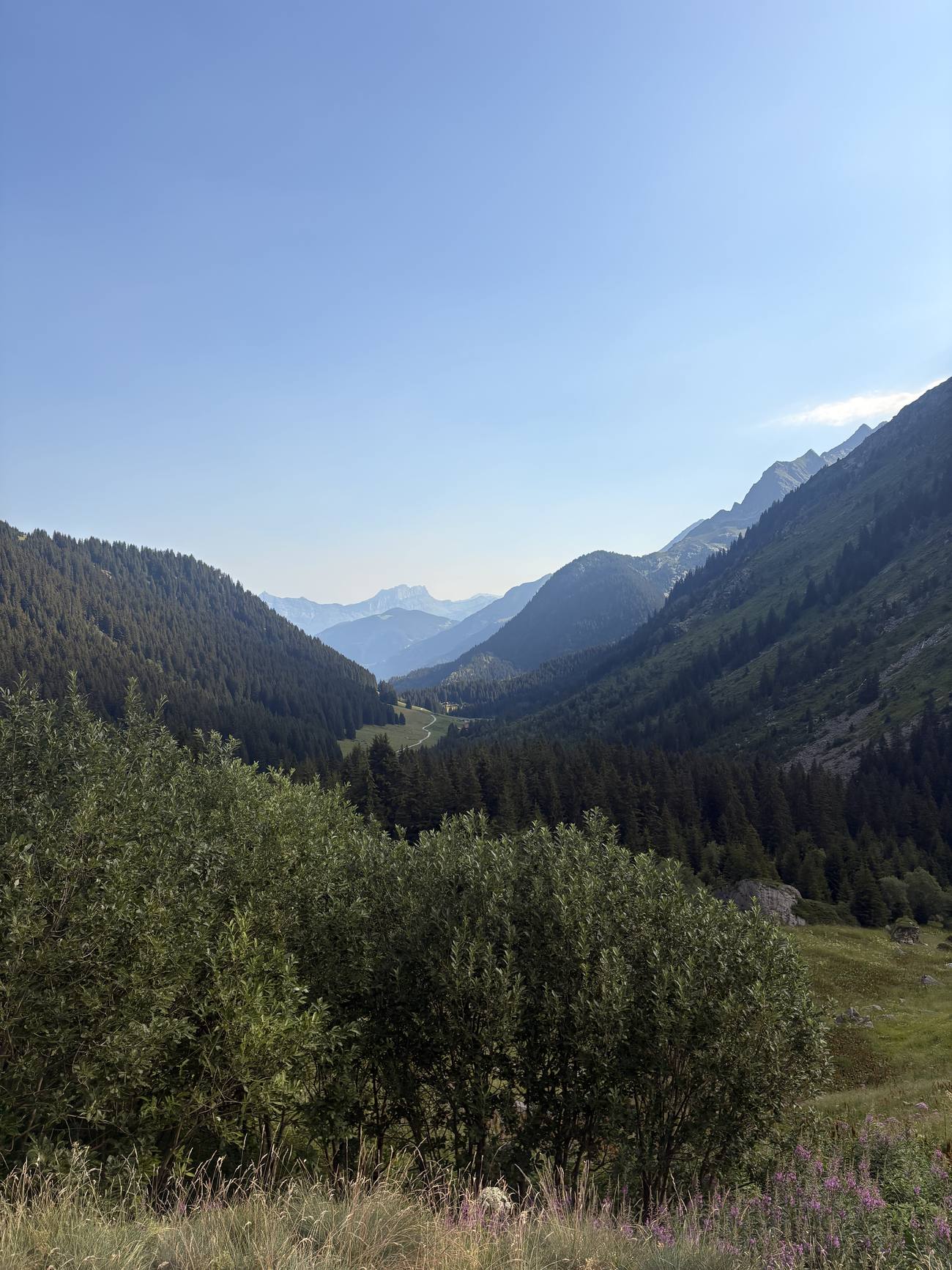 Vers le Col du Bonhomme
